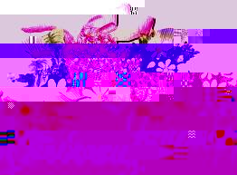 images x 1.jpg