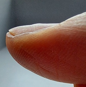 20241123_135043a.jpg